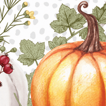 Hovedbilde PUMPKIN DELIGHT