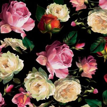 Hovedbilde MIDNIGHT ROSE