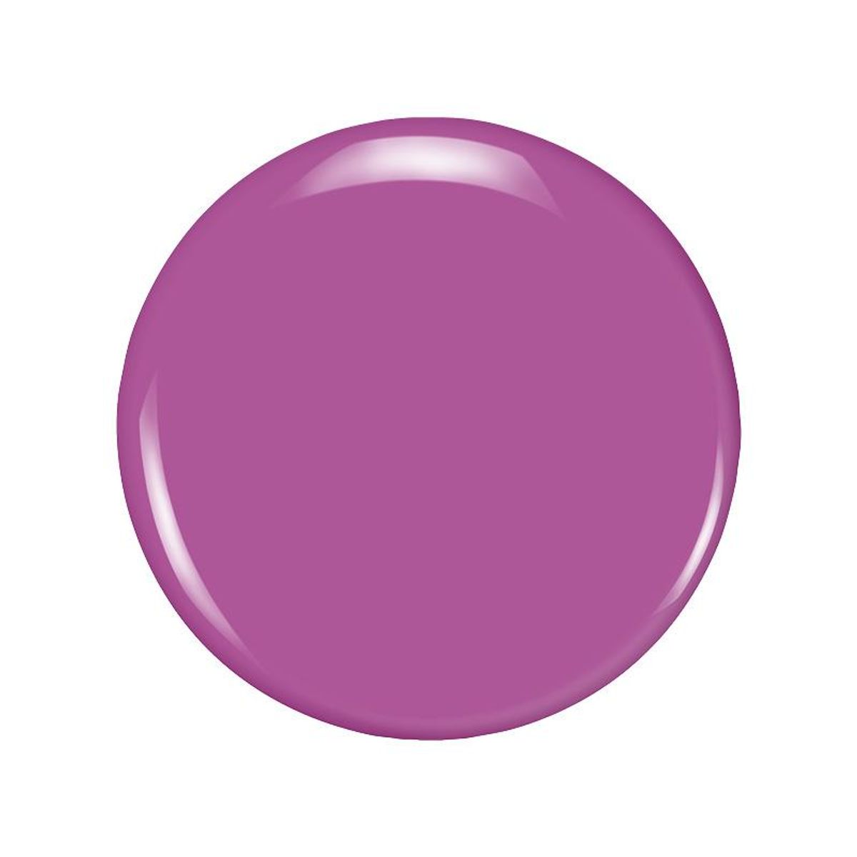 6 stk Daria (ZP1286)